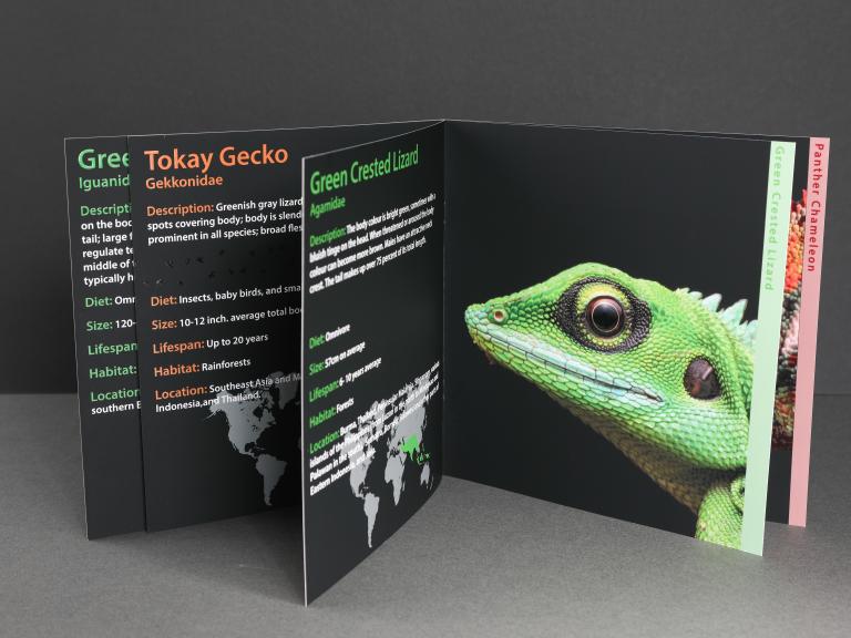 Step booklet