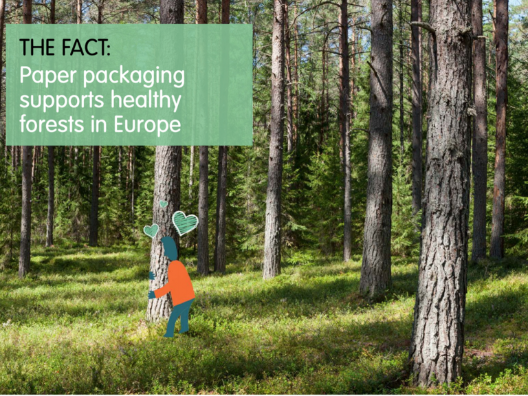 Paper fact4