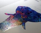 DDC-8000 Application - DuSense Foil