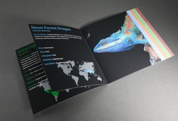 Step booklet