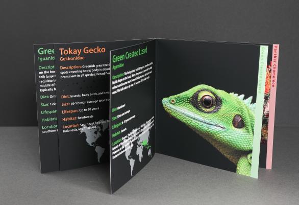 Step booklet